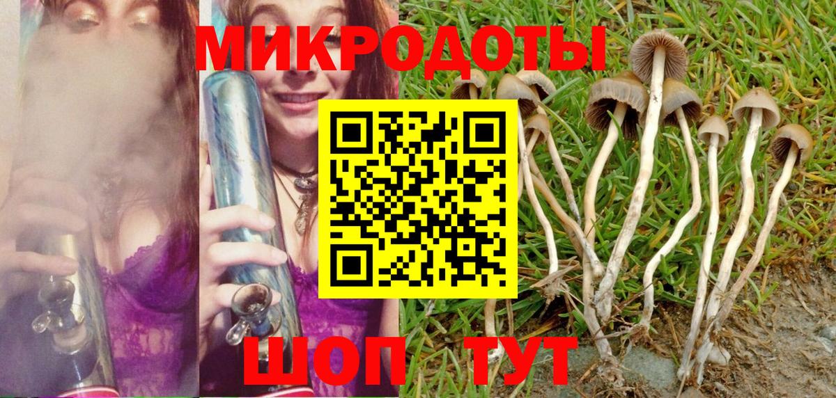 Реутов  Псилоцибиновые грибы ЛСД  Вход с VPN 